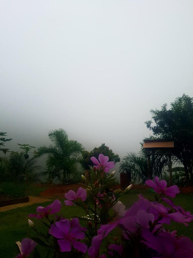 Chale Vista da Mata: Serene Mountain Retreat with Spa and Pet-Friendly Amenities Domingos Martins Exterior photo